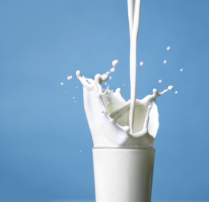 Andhra milk adulteration deaths: CM announces Rs 10 lakh compensation