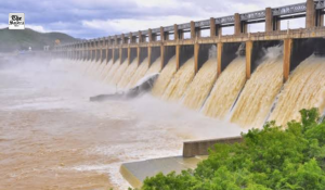 EPS urges TN govt to reopen Mettur dam to save paddy crops