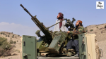 Taliban shoots down Pakistani jet in Jalalabad
