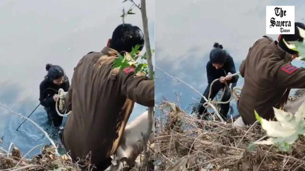 Delhi Woman Falls Into Drain Filming Reel, Police Rescue