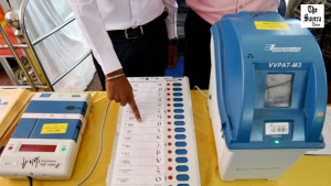 Rajasthan, Chhattisgarh, Andaman & Nicobar See Rise in Voters; Goa Witnesses Fall