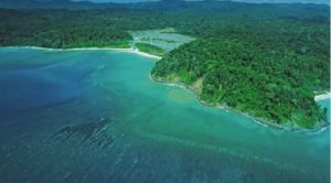 NGT Clears Great Nicobar Project with Environmental Conditions
