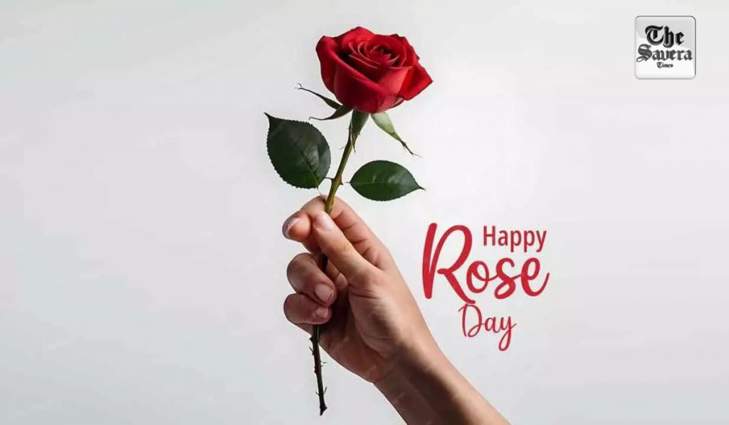 Roses on Rose Day: Why This Simple Flower Still Speaks the Loudest
