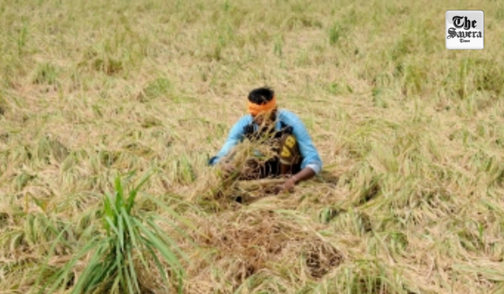 India’s Circular Agriculture Push Turns ‘Waste to Wealth’