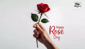 Roses on Rose Day: Why This Simple Flower Still Speaks the Loudest