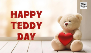 Teddy Bears as Emotional Support Objects for Grown-Ups