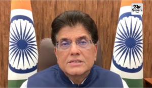 “NDA will be victorious…Vijay will probably have to go back to films”: Piyush Goyal
