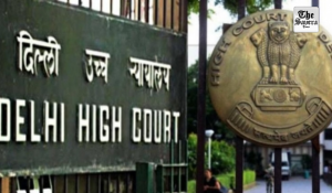 Delhi HC grants more time to Centre to secure consular access for Celina Jaitly’s brother jailed in UAE
