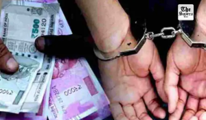 Himachal Pradesh: Forest Guard Nabbed in Baddi Bribery Case