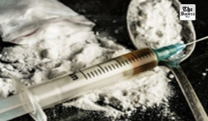 Himachal Pradesh: Major anti-drug action, raid at 145 locations in single day