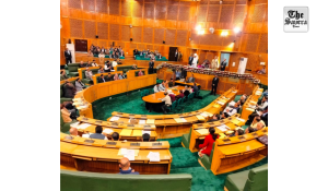 Over 44,000 Beneficiaries Receive Marriage Assistance in J&K in 2025-26