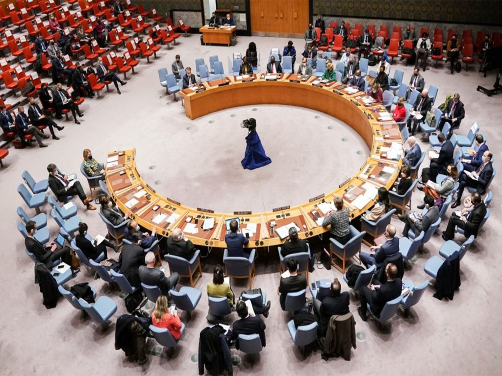 United Nations Security Council