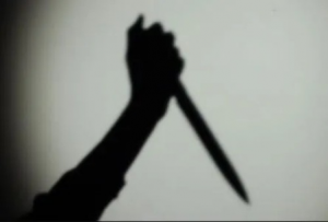 MP: Women stabbed over stray dog dispute, 2 arrested  