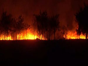 Fire breaks out in grassy area of Indore Airport; no effect on flight operations