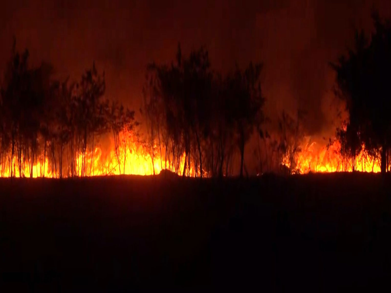 Fire breaks out in grassy area of Indore Airport; no effect on flight operations