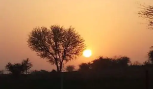 Heat will increase during Holi and Dhulandi, heatwave alert issued in March