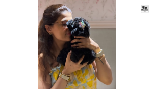 Ayushmann Khurrana, Tahira Kashyap welcome toy poodle Imli to family