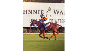 Jaipur beat Nahargarh in Shree Cement Cup polo match