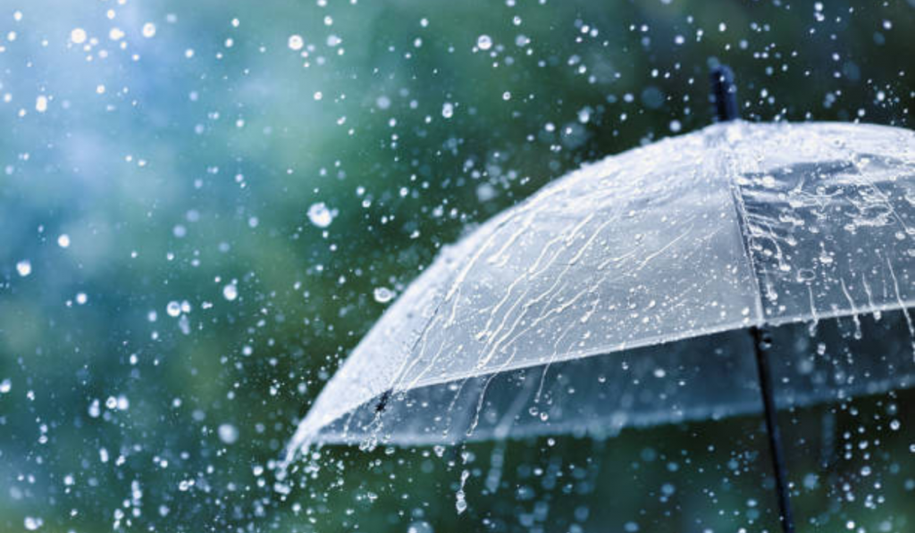 Rain and Snowfall Expected in Jammu and Kashmir Until March 20: Meteorological Department