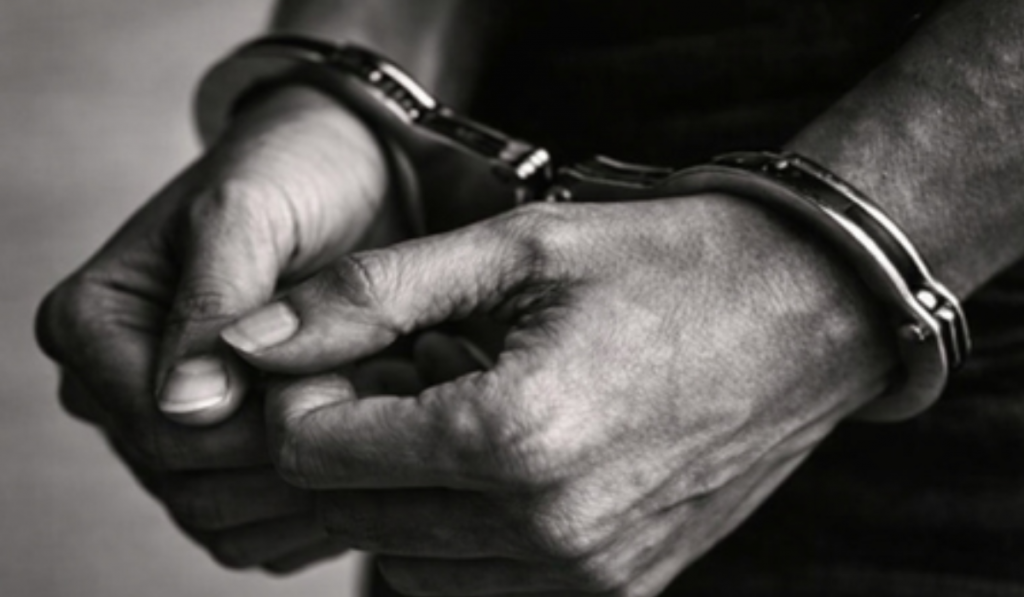 cyber fraud case