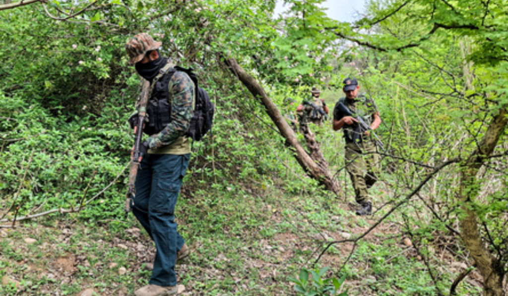 BSF, Jammu and Kashmir, Samba, drug raid, security forces, India