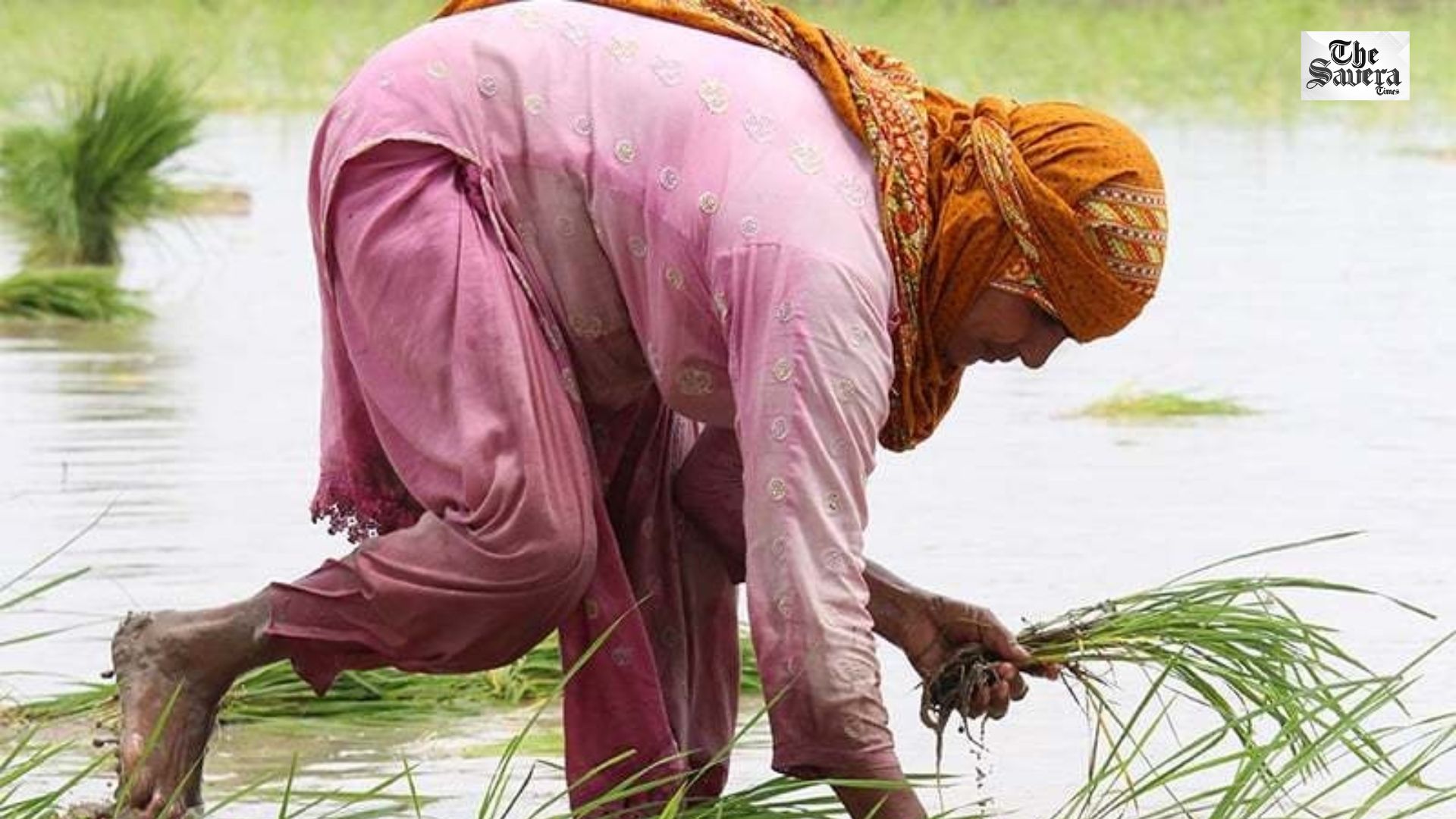 Sindh Fails Rural Women Workers Despite Landmark Law