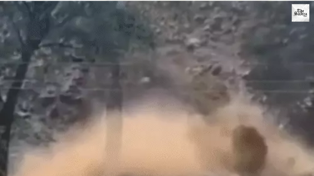 Kullu Landslide Alert: Cracks Appear, 5 Houses Evacuate