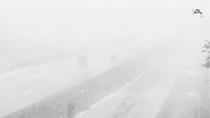 Dense fog grips Haryana, zero visibility halts trains
