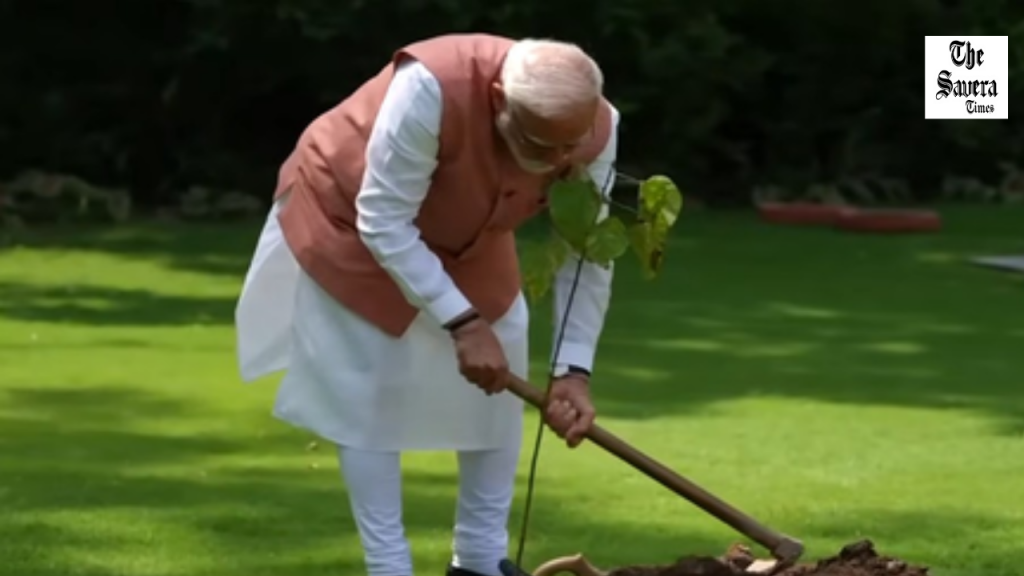 PM Modi praises plantation records and seed conservation efforts