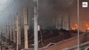 Massive fire destroys 50 shops at Delhi’s Nature Bazaar