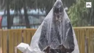 Haryana Temp Drops to 3.4°C; Storm Disrupts Power, Trains
