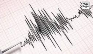 Mild tremors felt in Rajasthan, 3.5 magnitude quake recorded near Sikar