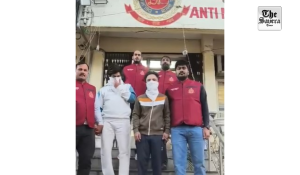 Delhi Police busts interstate drug network; narcotics worth over Rs 2 crore seized