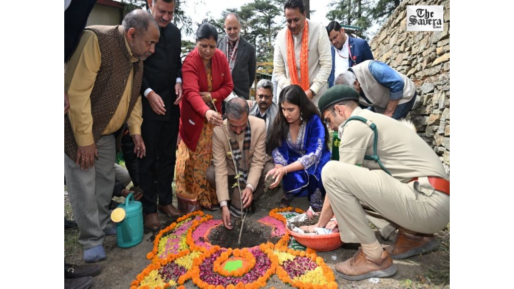 Himachal CM Sukhu Plants Chinar on 62nd Birthday