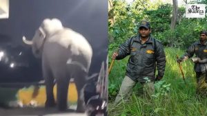 Elephants Destroy Crops in Haridwar’s Kankhal Fields