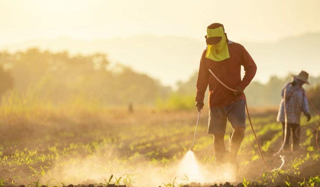 fertilizer stock