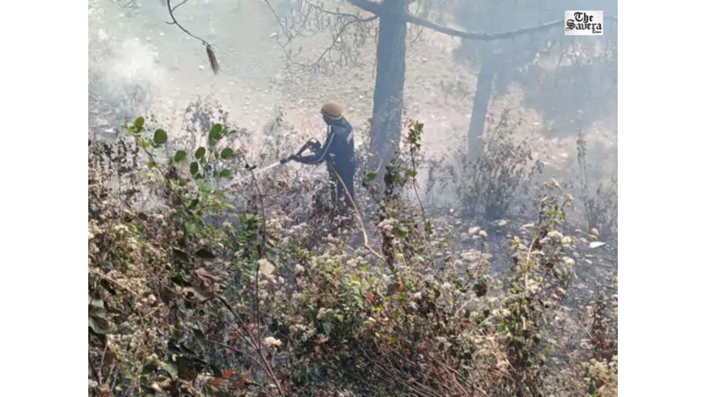 Forest Fire in Ganiyadholi, Ranikhet Threatens Maruti Showroom