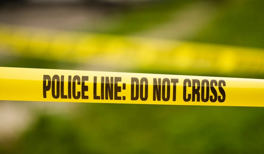 Crime news