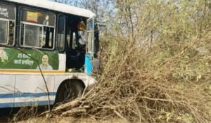 Driver falls, constable takes control of bus; major accident averted