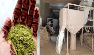 How West Asia crisis has disrupted Rajasthan’s Sojat Mehendi trade