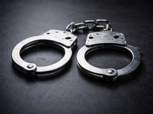 Rajasthan Police bust MD drug unit, arrest key accused carrying Rs 25,000 reward