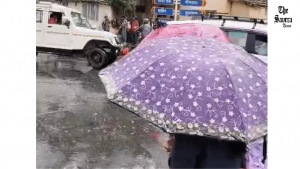 Rain in Nainital, Drizzle in Dehradun; Snowfall, Hail Hit Hills as Storm Downs Trees in Pithoragarh–Bageshwar