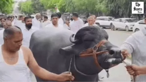 Farmers protest in Sonipat, demand action over remark