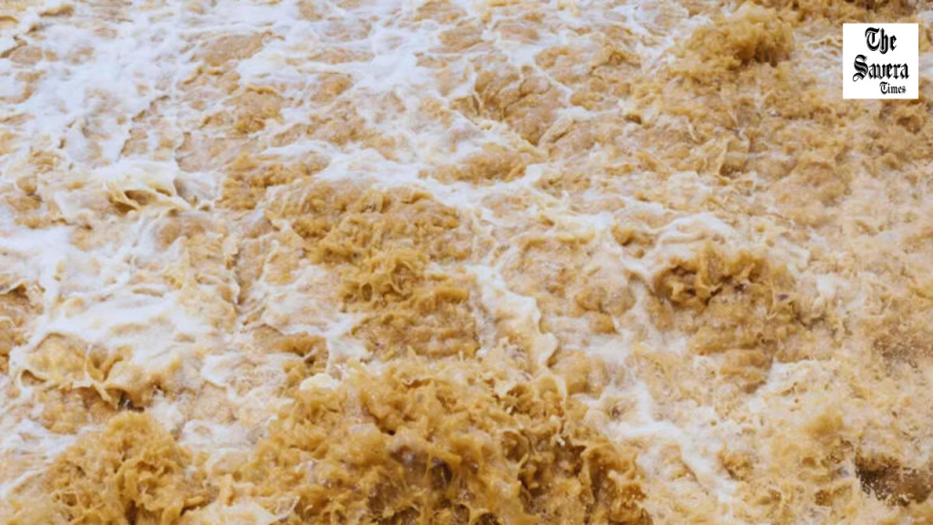 Kashmir Cloudburst: Highway Closed, Travel Hit