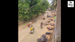 BJP Candidate Attack Bengal
