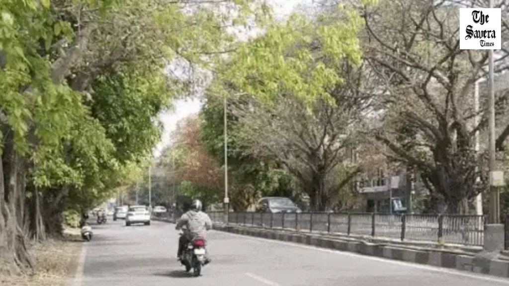 Punjab Heatwave 42.9°C, Rain Expected April 26