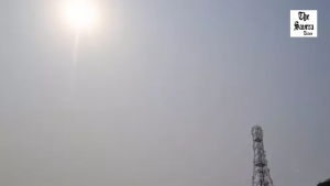 Haryana heat alert: 42.5°C, Narnaul hottest, farm advisory