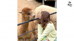 Hina Khan Enjoys Alpaca Time in South Korea Trip
