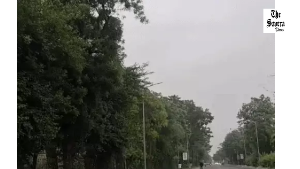 Punjab Weather Update: Rain, Clouds & Orange Alert