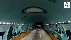 Delhi-Dehradun expressway: cars above, wildlife below
